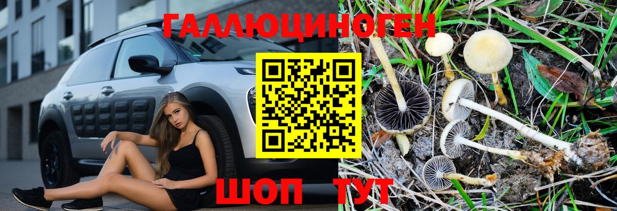Нерюнгри  Галлюциногенные грибы мухоморы  Галлюциногенные грибы мухоморы  продажа наркотиков  Вход с VPN 